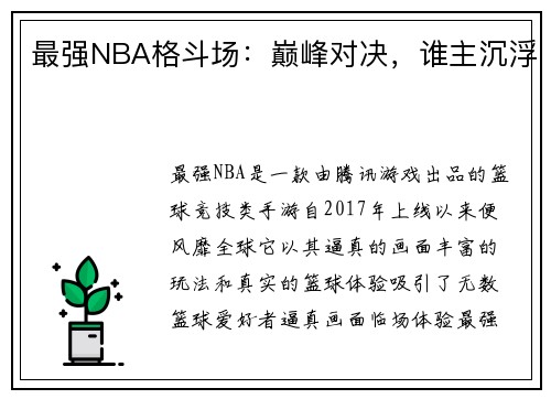 最强NBA格斗场：巅峰对决，谁主沉浮